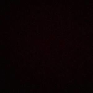 Meet your Posher, Janusha